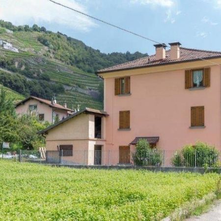 Joy Valtellina Per Amanti Degli Animali Ξενοδοχείο Tresenda Εξωτερικό φωτογραφία